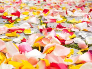結婚式前に脱毛すべき部位はどこですか？