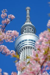東京でおすすめの脱毛クリニックはどこですか？